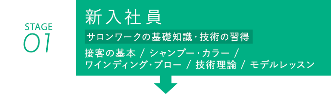 新入社員 接客の基本、シャンプー・カラー 、ワインディング・ブロー、技術理論、モデルレッスン