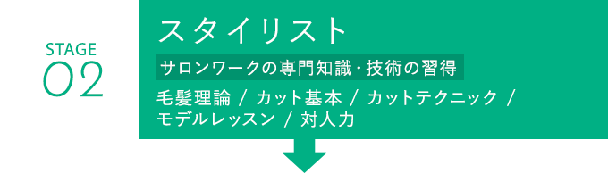 アシスタント
						毛髪理論、カット基本、カットテクニック、モデルレッスン、対人力