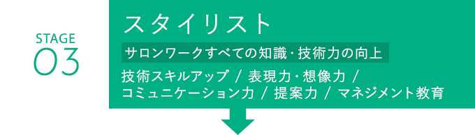 スタイリスト
						技術スキルアップ 、表現力・想像力、コミュニケーション力 、提案力、マネジメント教育