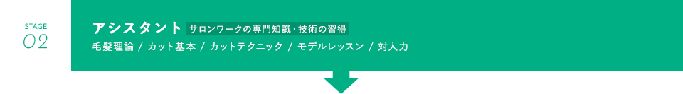 アシスタント
						毛髪理論、カット基本、カットテクニック、モデルレッスン、対人力