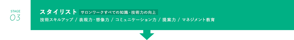 スタイリスト
						技術スキルアップ 、表現力・想像力、コミュニケーション力 、提案力、マネジメント教育